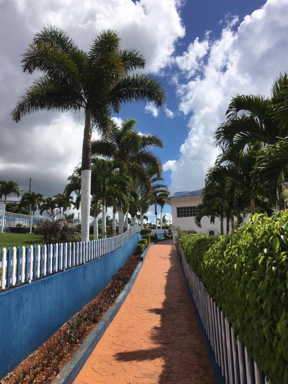 Tropics View Jamaica Otel Hatfield Dış mekan fotoğraf